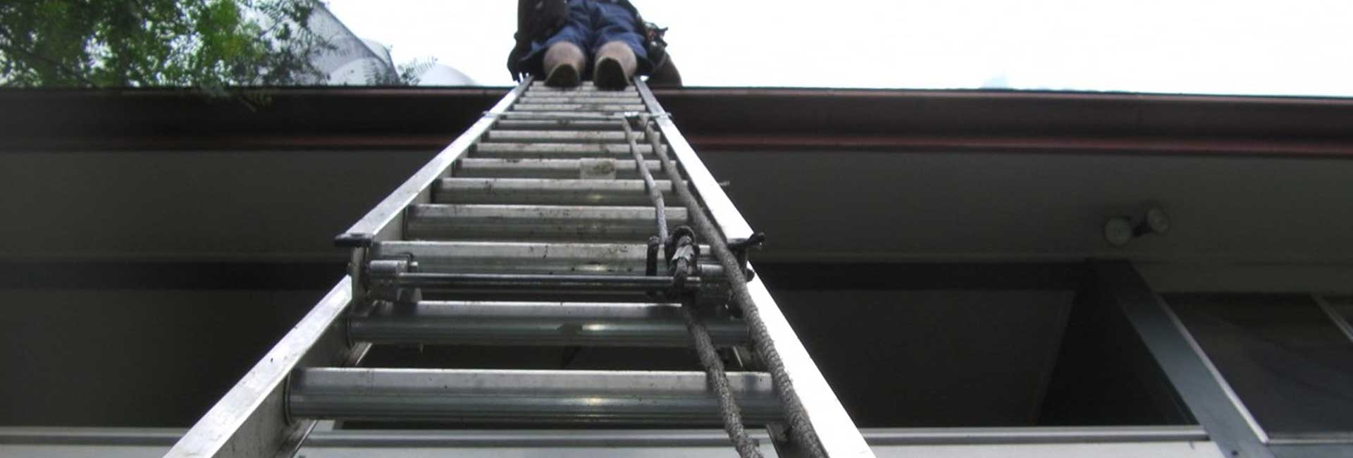 How to Improve Occupational Health & Safety with Gutter Mesh